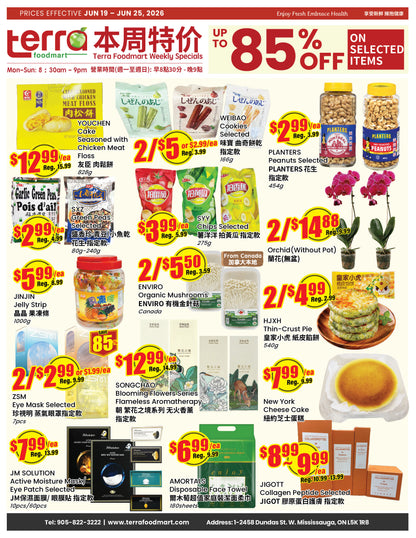 Terra Foodmart Store Flyer