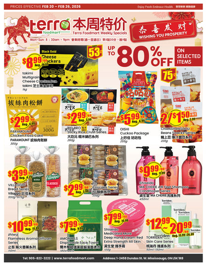 Terra Foodmart Store Flyer